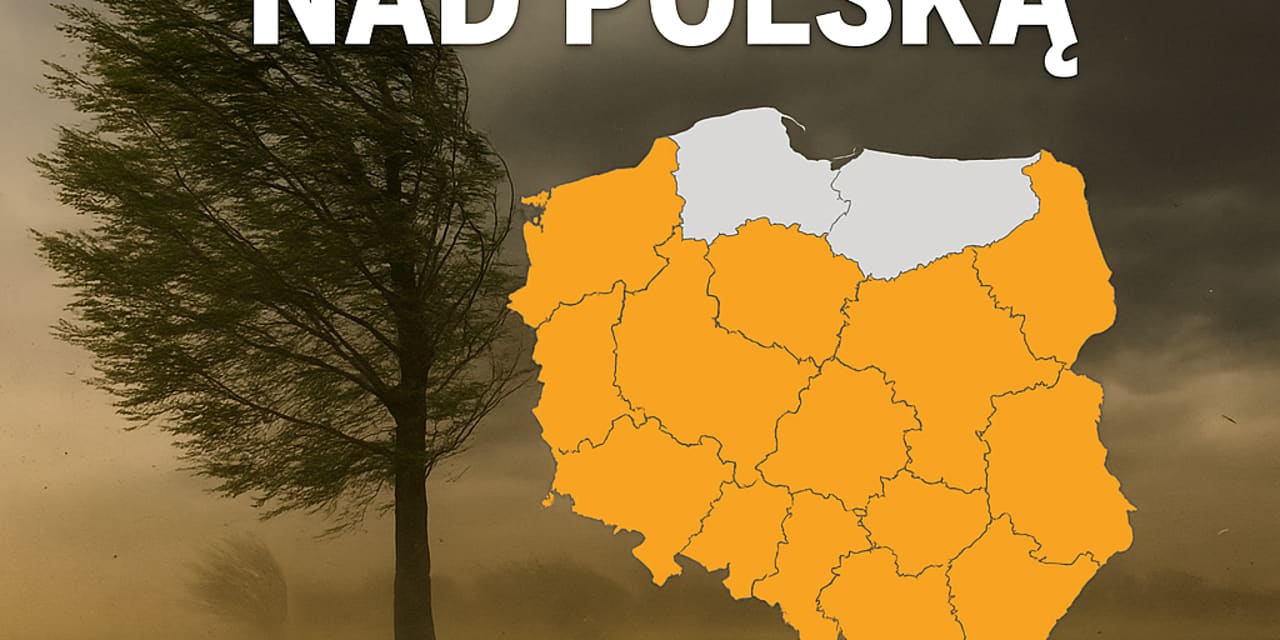 Silny wiatr nad Polską — IMGW wydaje alerty dla 13 województw