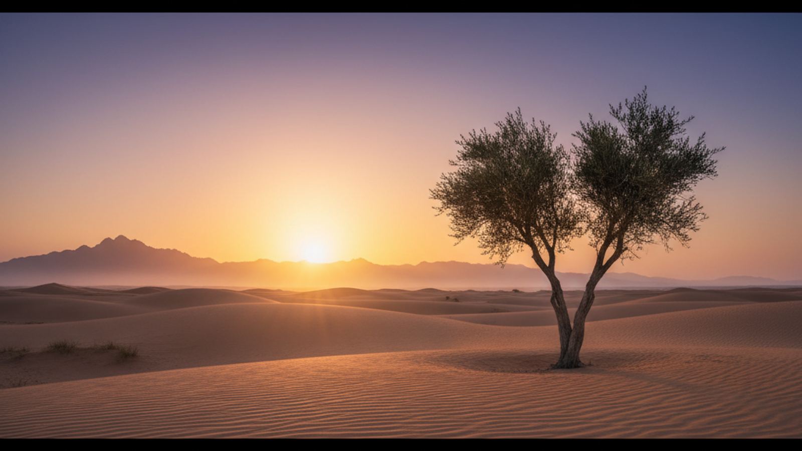 Przełom: USA i Iran ogłosiły 14-dniowe zawieszenie broni na Bliskim Wschodzie