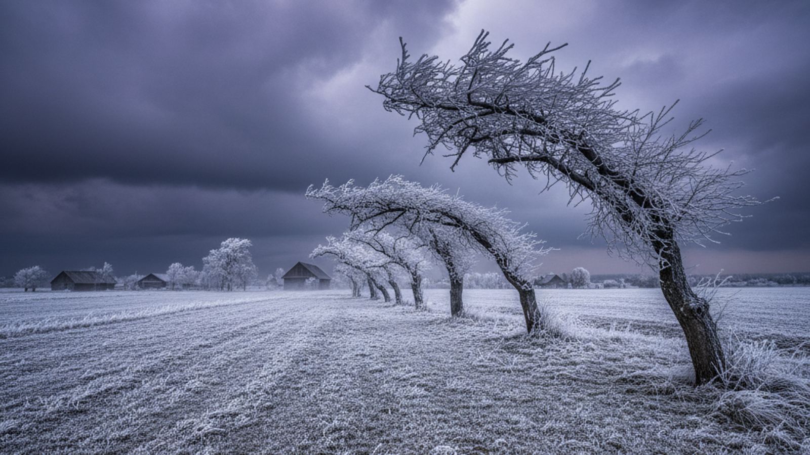 Wichury i przymrozki: IMGW wydał alerty dla części Polski