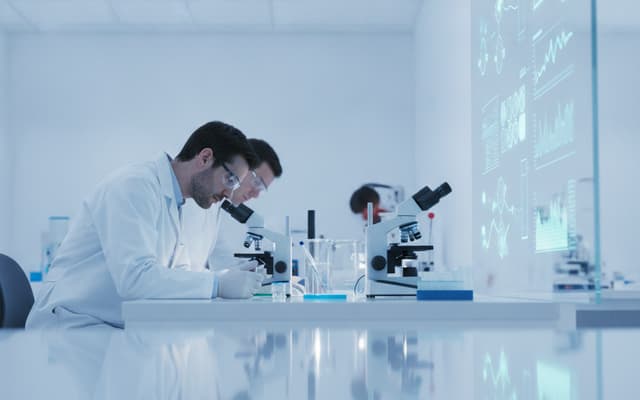 Badanie za 2 mln zł w Białymstoku: naukowcy szukają szybszej diagnostyki chorób przenoszonych przez kleszcze
